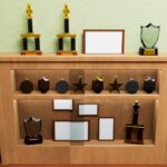 Awards Shelf