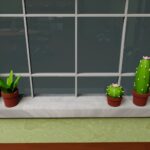 Potted Plants