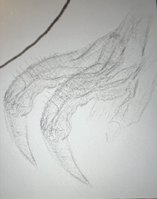 Screenshot 2025-12-10 231905